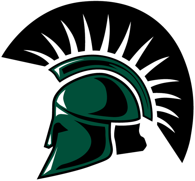 USC Upstate Spartans 2003-2008 Primary Logo iron on transfers for clothing